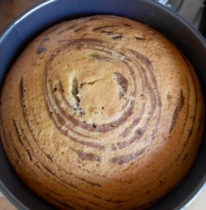 Melanie’s Food Adventures – Zebra Cake - Cooling In The Cake tin