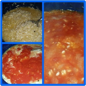 Homemade Microwaveable Tomato Risotto - Adding Stock and Tinned Tomatoes