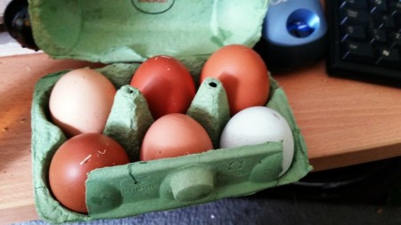 6 Nations of Food – Eggs from Gemma's Chickens